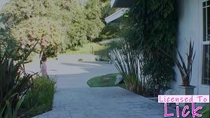 LICENSED TO BLOW – Dani Daniels Aggressive Lesbian Fun