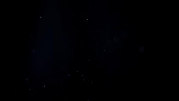 A MILF safada Mirela Squirt deu o cú sem camisinha no megane a trois