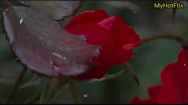 Story of fucking with cousin.