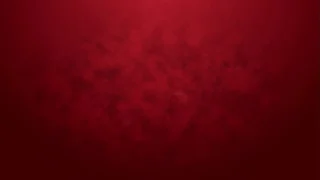 HAIRY Sandra Sugar goes 1on1 Very rough anal, 0% pussy