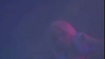 LESBIANS IN PARADISE