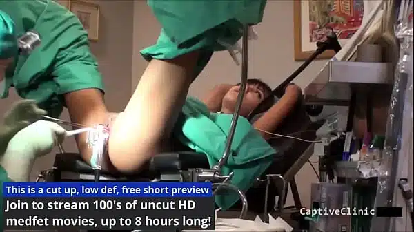 The New Guinea Pig – Eliza Sheilds