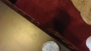 Bear jerks off with red sox CLOSE UP! (with assist by bbc)