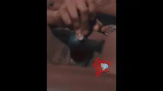 Living Room Fun Gone Wrong!!!