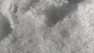 Close up cum to the snow and showing cum in the snow