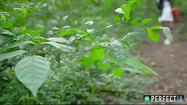 I never Thought a Simple Walk could make me Relax like That! at Perfect18