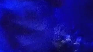 Milagro sa banyo wet, soapy and horny