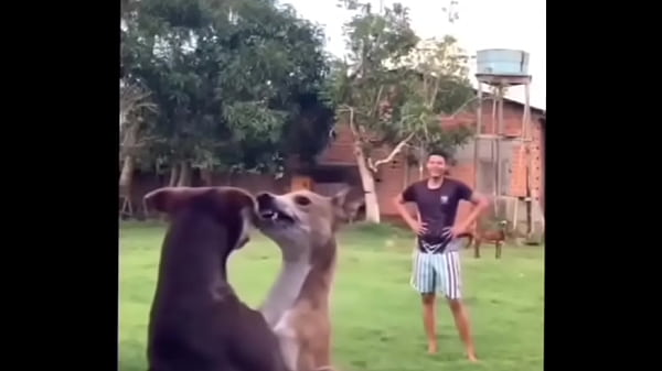 Momazos 4 xx xx xx xx