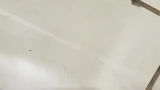 Roludo batendo uma punheta