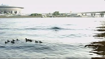 Spring walk ends for skinny babe anal fuck