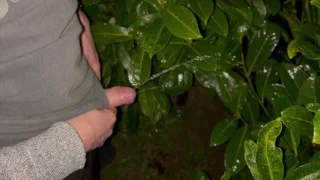 Winter pee compilation